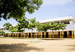 Our School