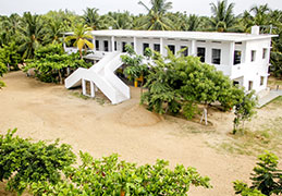 Our School