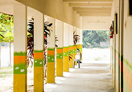 Our School