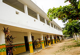 Our School